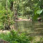 Acolina Aguda (Leiria)
