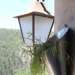 Acolina Nyaraló