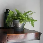 度假居 Acolina *
