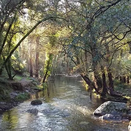 Acolina Aguda (Leiria)