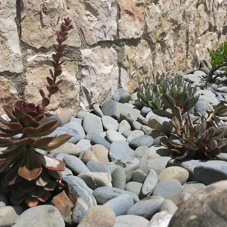 Acolina Feriehus Aguda (Leiria)