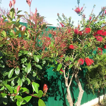 Nyaraló Acolina