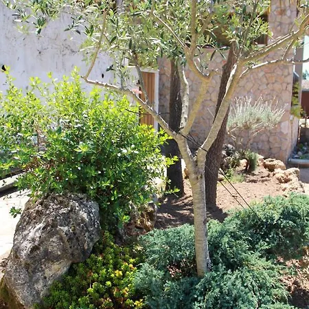 Acolina Nyaraló Aguda (Leiria)