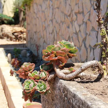Acolina Nyaraló