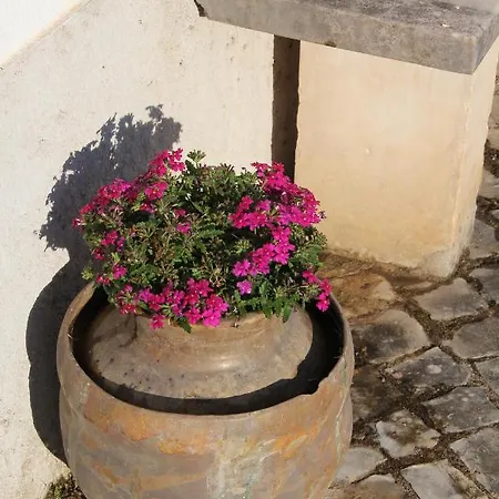 Acolina Nyaraló