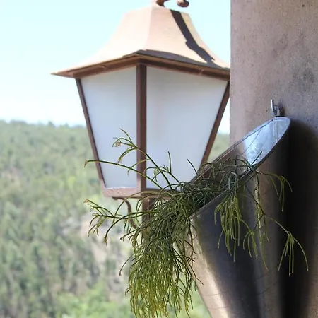 Acolina Nyaraló
