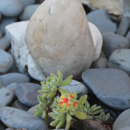 Acolina Casa de Férias