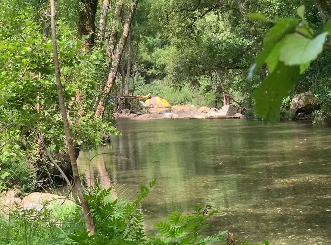 Acolina Aguda (Leiria)