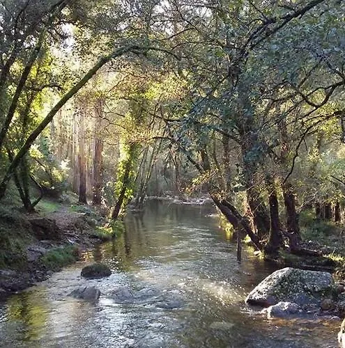 Acolina Aguda (Leiria)