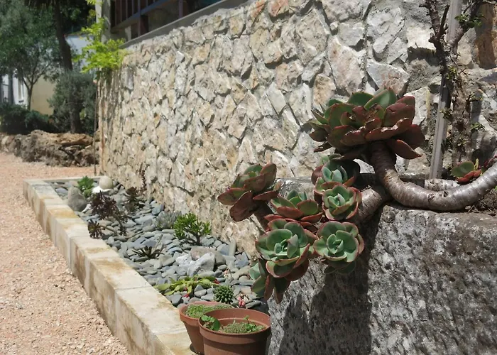 Acolina Aguda (Leiria)