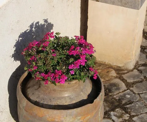 Acolina Casa de Férias